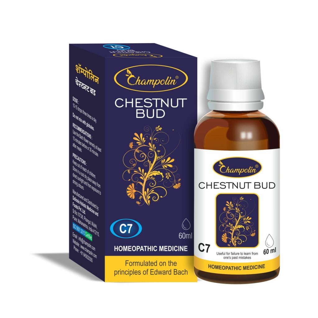 Champolin Chestnut Bud